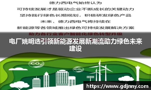 电厂姚明选引领新能源发展新潮流助力绿色未来建设