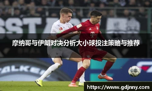 摩纳哥与伊朗对决分析大小球投注策略与推荐